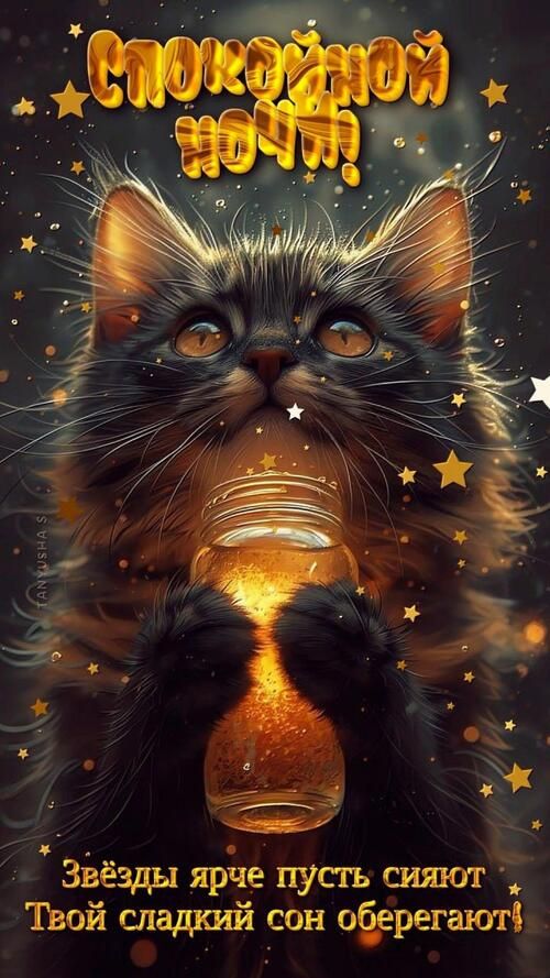 Открытка «Кот»: Спокойной ночи! Пушистый кот и звёздное пожелание. Тэги: животное, пожелание, красивая, позитив…