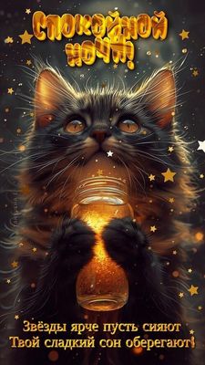 Открытка «Кот»: Спокойной ночи! Пушистый кот и звёздное пожелание. Тэги: животное, пожелание, красивая, позитив…