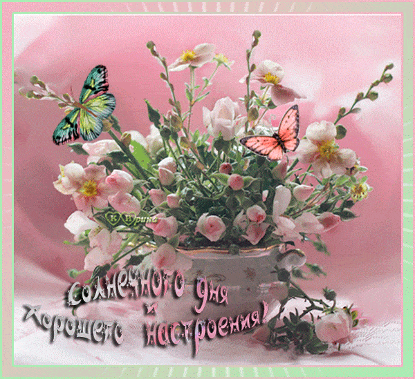 Открытка «Пожелание»: Солнечного дня! Открытка с цветами и бабочками. Тэги: позитив, радость, цветок, настроение…
