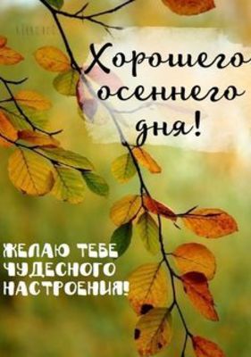 Открытка «Пожелание»: Хорошего осеннего дня и чудесного настроения!. Тэги: красивая, позитив, радость, осень, настрое…
