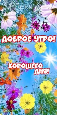 Открытка «Пожелание»: Доброе утро и хорошего дня! Яркие цветы и солнце. Тэги: улыбка, красивая, позитив, радость…