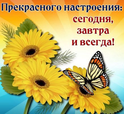 Открытка «Животное»: Прекрасного настроения: сегодня, завтра и всегда!. Тэги: пожелание, улыбка, друг, подруга…