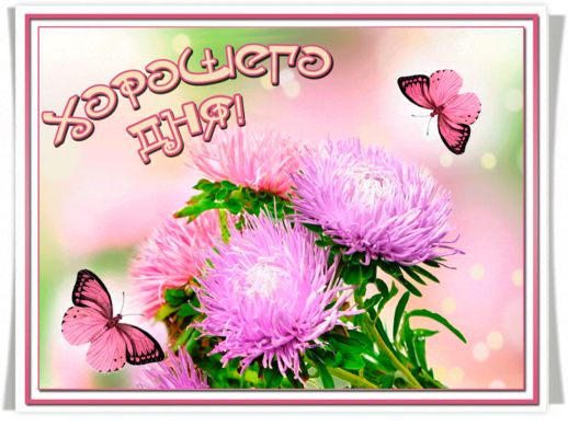 Открытка «Пожелание»: Пожелание хорошего дня: нежная открытка с цветами. Тэги: улыбка, подруга, женщина, красивая…