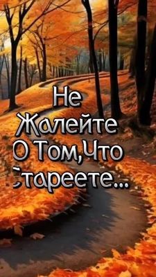 Открытка «Пожелание»: Мудрое пожелание: не жалейте, что стареете. Тэги: красивая, позитив, радость, осень, мудрость…