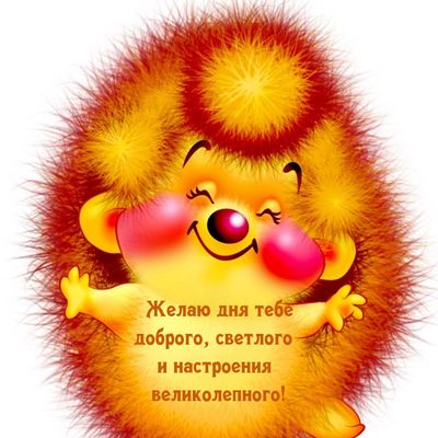 Открытка «Животное»: Доброго дня и великолепного настроения!. Тэги: пожелание, прикольная, улыбка, позитив, радость…
