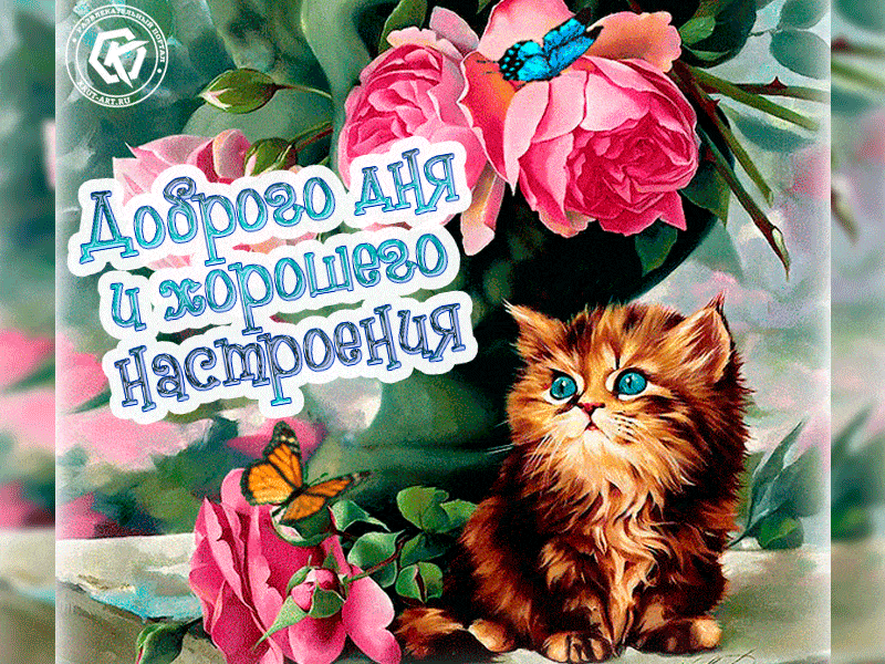 Открытка «Кот»: Красивая открытка: доброго дня и настроения с котом. Тэги: животное, пожелание, улыбка, красивая…