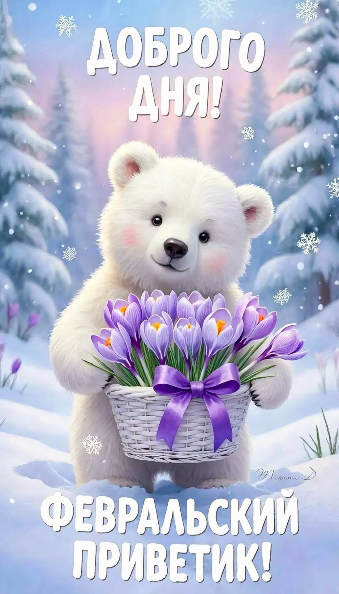 Открытка «Животное»: Доброго дня: февральский приветик от милого мишки. Тэги: пожелание, прикольная, улыбка, позитив…