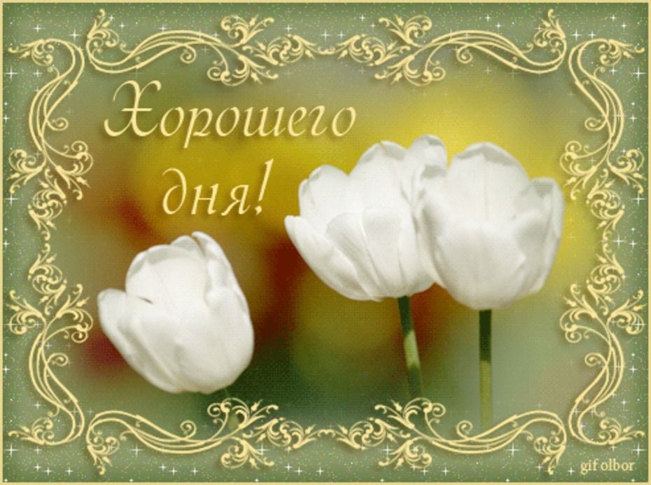 Открытка «Пожелание»: Хорошего дня! Нежные тюльпаны для настроения. Тэги: красивая, позитив, радость, цветок, настрое…