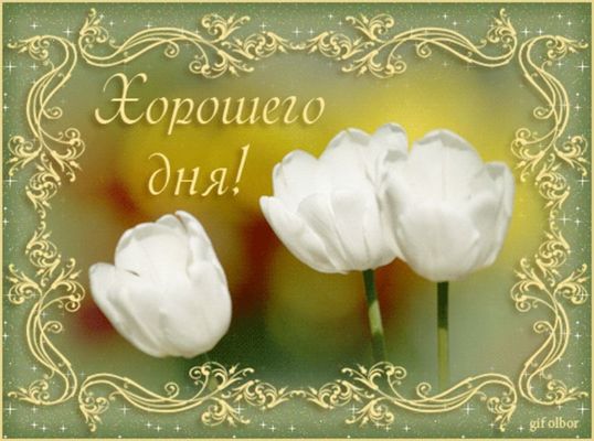 Открытка «Пожелание»: Хорошего дня! Нежные тюльпаны для настроения. Тэги: красивая, позитив, радость, цветок, настрое…