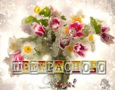 Открытка «Пожелание»: Открытка Прекрасного дня! Красивый букет цветов. Тэги: улыбка, утро, позитив, радость, цветок…