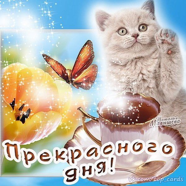 Открытка «Животное»: Прекрасного дня! Милая открытка для хорошего настроения. Тэги: пожелание, улыбка, красивая, кофе…