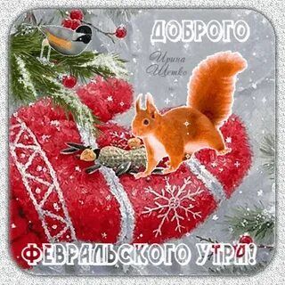 Открытка «Животное»: Доброе Февральское Утро! Открытка с позитивом. Тэги: пожелание, утро, позитив, радость, белка…