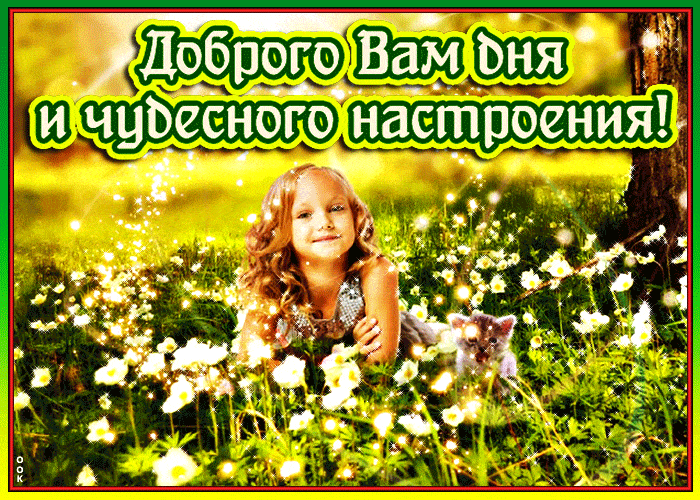 Открытка «Кот»: Доброго дня и чудесного настроения! Открытка. Тэги: животное, пожелание, улыбка, красивая, позитив…