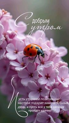Открытка «Животное»: Доброе утро! Нежное пожелание с цветами и божьей коровкой. Тэги: пожелание, утро, красивая…