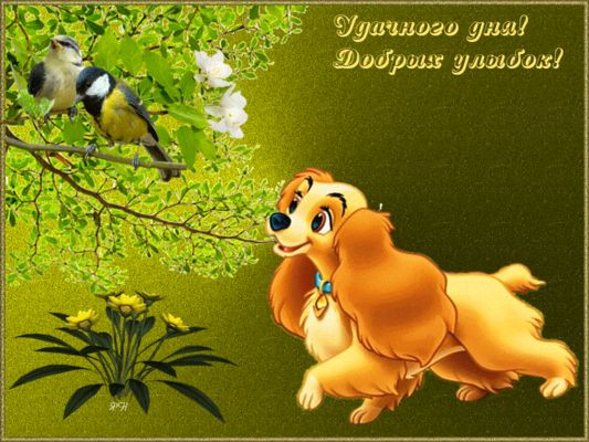 Открытка «Животное»: Удачного дня! Милая открытка с собачкой и птицами. Тэги: пожелание, улыбка, утро, красивая…