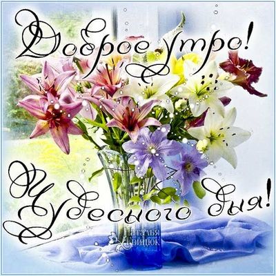 Открытка «Пожелание»: Доброе Утро! Чудесного Дня! Красивый букет. Тэги: утро, красивая, позитив, радость, цветок…