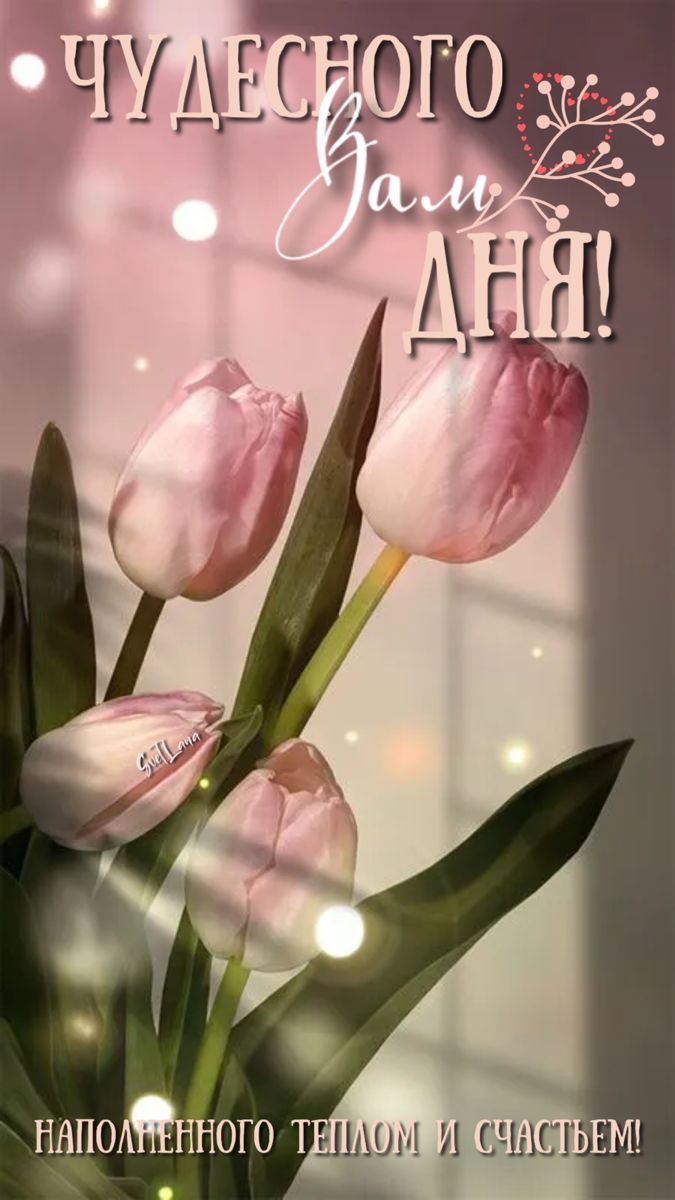 Открытка «Пожелание»: Чудесного дня с тюльпанами! Тепла и счастья!. Тэги: красивая, позитив, радость, цветок, тепло…