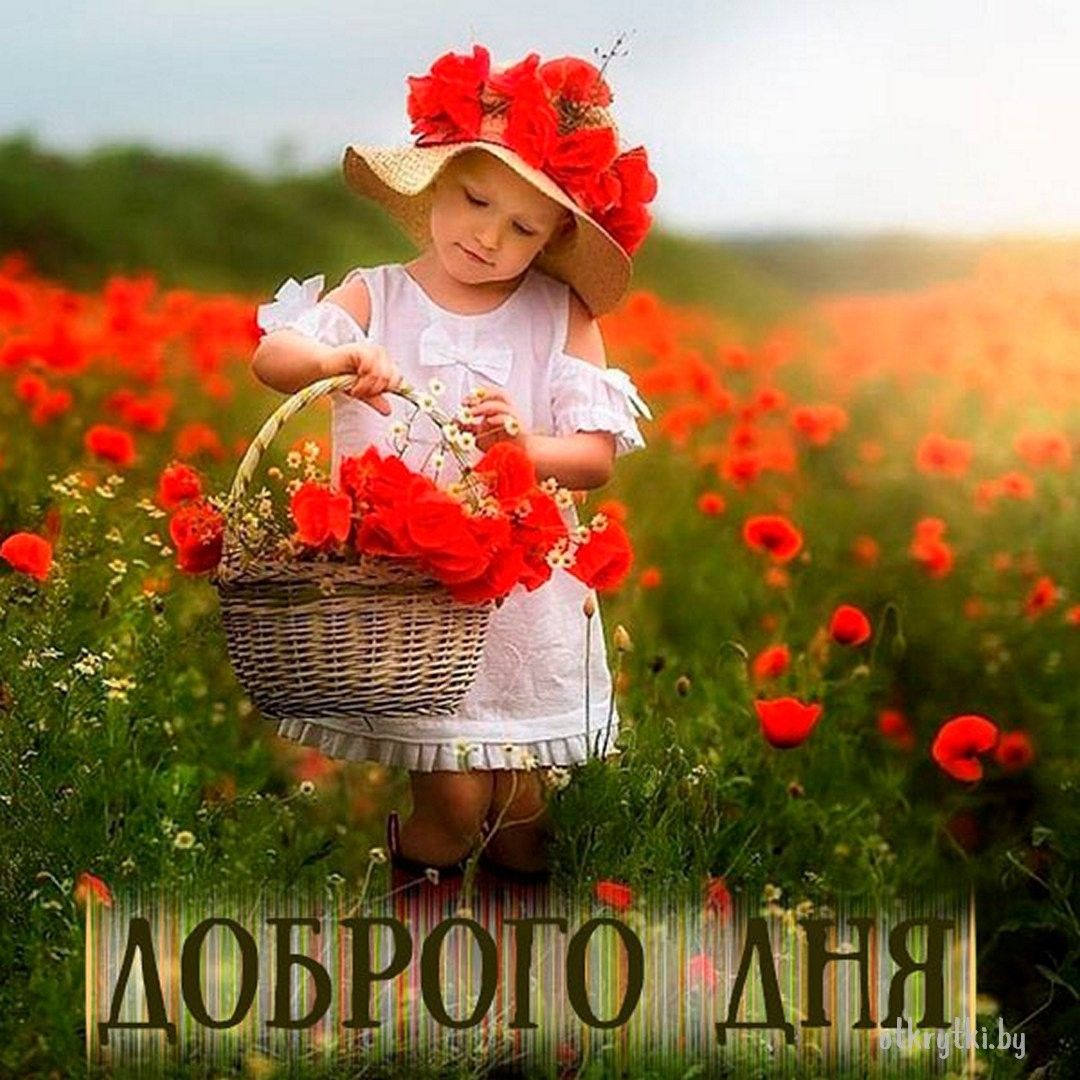 Открытка «Пожелание»: Доброго Дня: милая девочка в поле маков. Тэги: красивая, позитив, радость, добрый день, цветок…