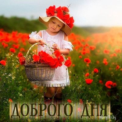 Открытка «Пожелание»: Доброго Дня: милая девочка в поле маков. Тэги: красивая, позитив, радость, добрый день, цветок…