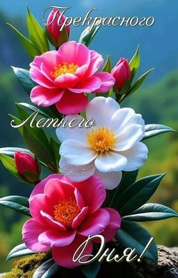 Открытка «Пожелание»: Прекрасного Летнего Дня! Открытка с цветами. Тэги: позитив, радость, цветок, настроение, лето…