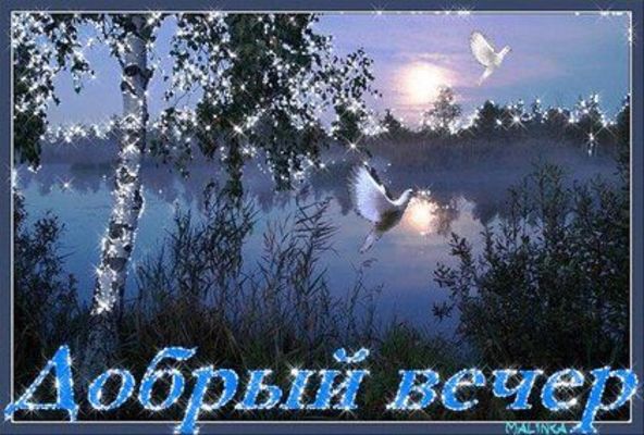 Открытка «Пожелание»: Добрый вечер: нежная открытка с блестящим пейзажем. Тэги: птица, природа, красивый, нежный…