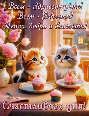 Открытка «Кот»: Радости и добра: милые котята и Счастливого дня!. Тэги: животное, пожелание, улыбка, позитив, радость…