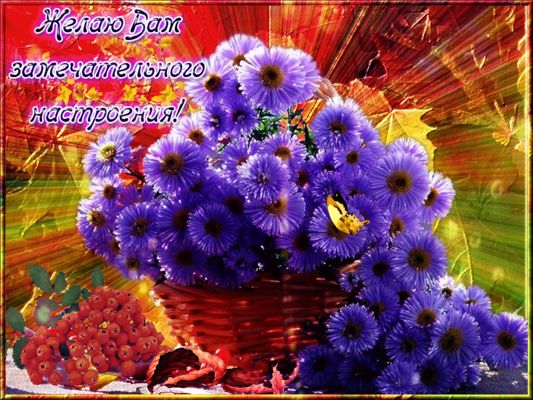 Открытка «Пожелание»: Желаю замечательного настроения! Красивая открытка. Тэги: улыбка, красивая, позитив, радость…