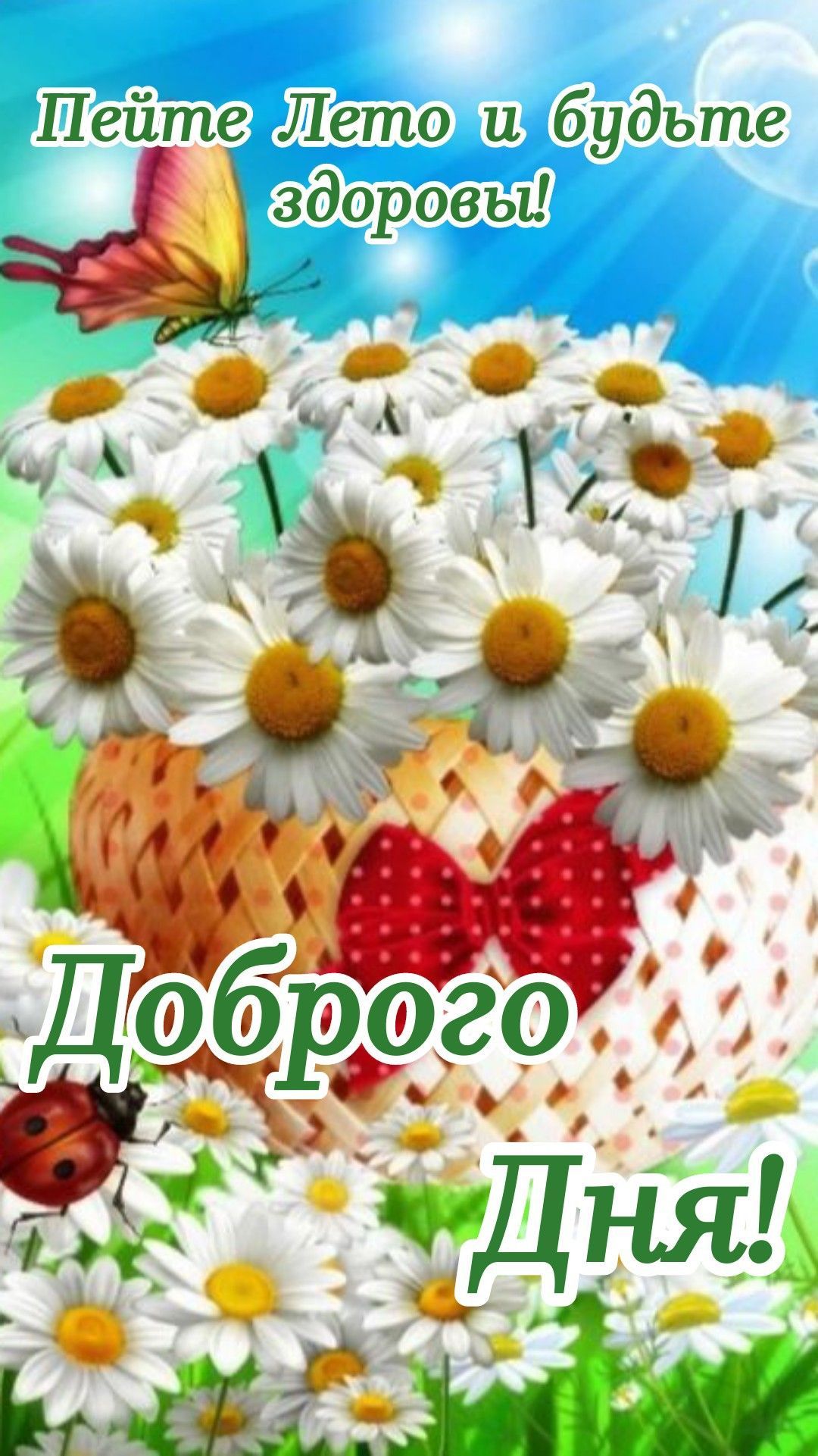 Открытка «Пожелание»: Доброго Дня и здоровья! Летние ромашки и бабочка. Тэги: улыбка, красивая, позитив, радость…