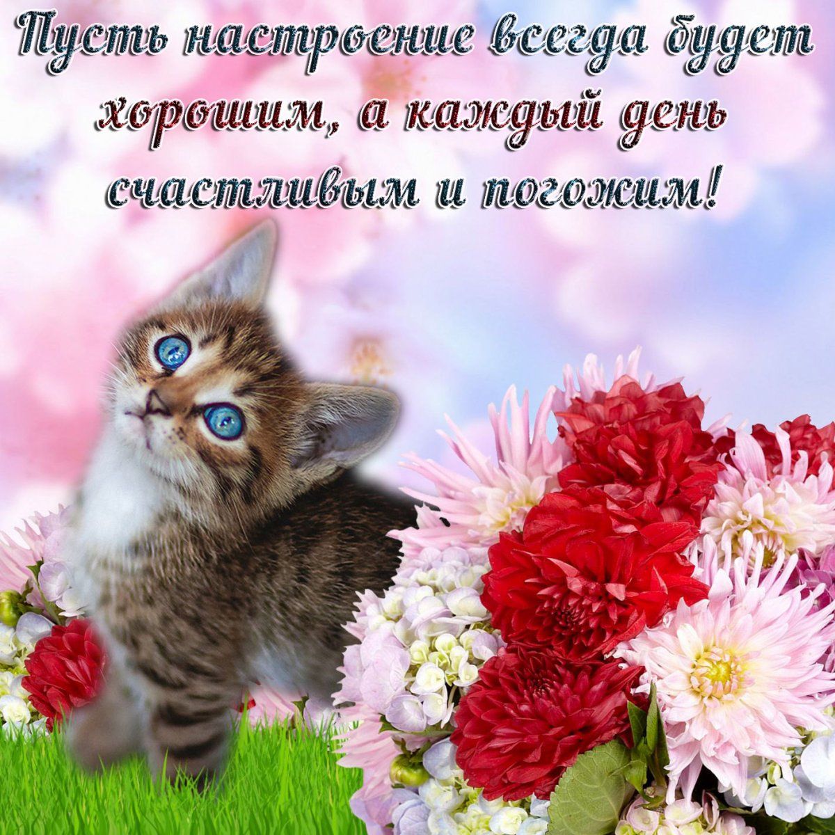 Открытка «Кот»: Пусть настроение будет хорошим! Открытка с котенком. Тэги: животное, пожелание, улыбка, красивая…