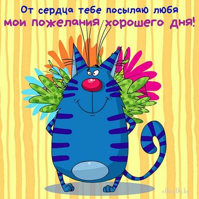 Открытка «Кот»: Пожелание хорошего дня от сердца с милым котом. Тэги: животное, пожелание, прикольная, смешная, улыбка…