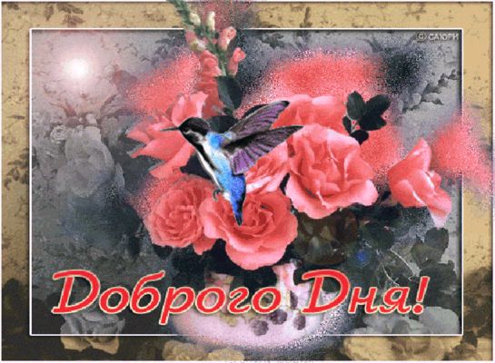 Открытка «Животное»: Красивая открытка Доброго Дня с цветами и колибри. Тэги: улыбка, красивая, позитив, радость…