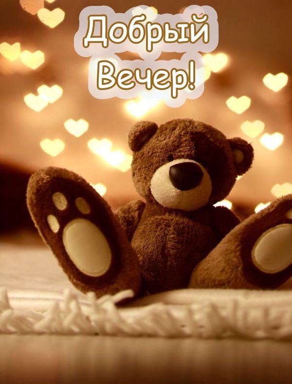 Открытка «Животное»: Добрый Вечер! Милый мишка и уютная открытка. Тэги: пожелание, позитив, сердце, настроение, нежная…