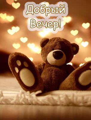 Открытка «Животное»: Добрый Вечер! Милый мишка и уютная открытка. Тэги: пожелание, позитив, сердце, настроение, нежная…
