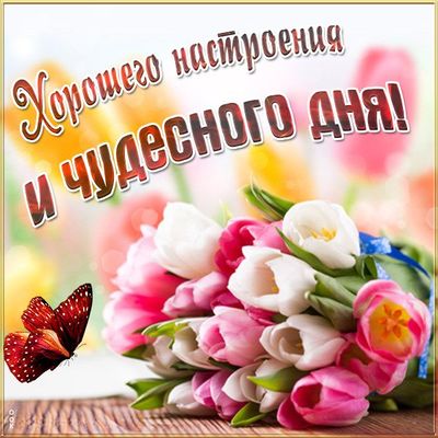 Открытка «Пожелание»: Хорошего настроения и чудесного дня! Открытка с тюльпанами. Тэги: улыбка, позитив, радость…