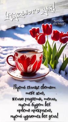 Открытка «Пожелание»: Открытка Чудесного дня с тюльпанами и кофе. Тэги: красивая, кофе, позитив, радость, цветок…