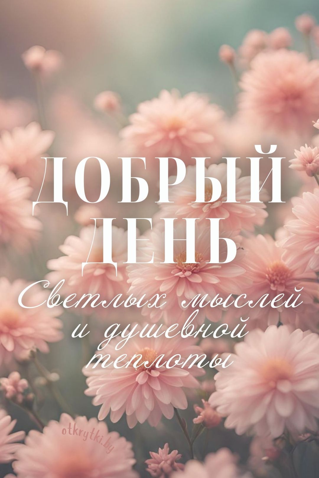 Открытка «Пожелание»: Добрый день: светлых мыслей и душевной теплоты!. Тэги: улыбка, друг, подруга, мужчина, женщина…