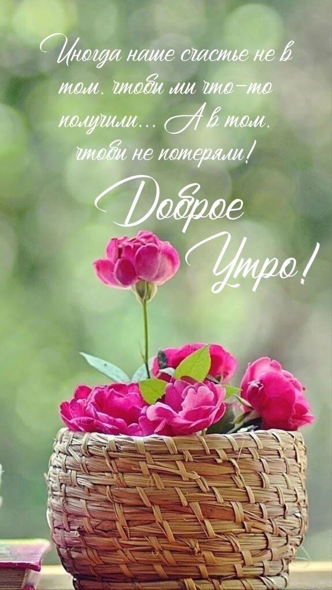 Открытка «Пожелание»: Доброе утро: счастье в мудром пожелании и розах. Тэги: утро, красивая, позитив, радость, цветок…