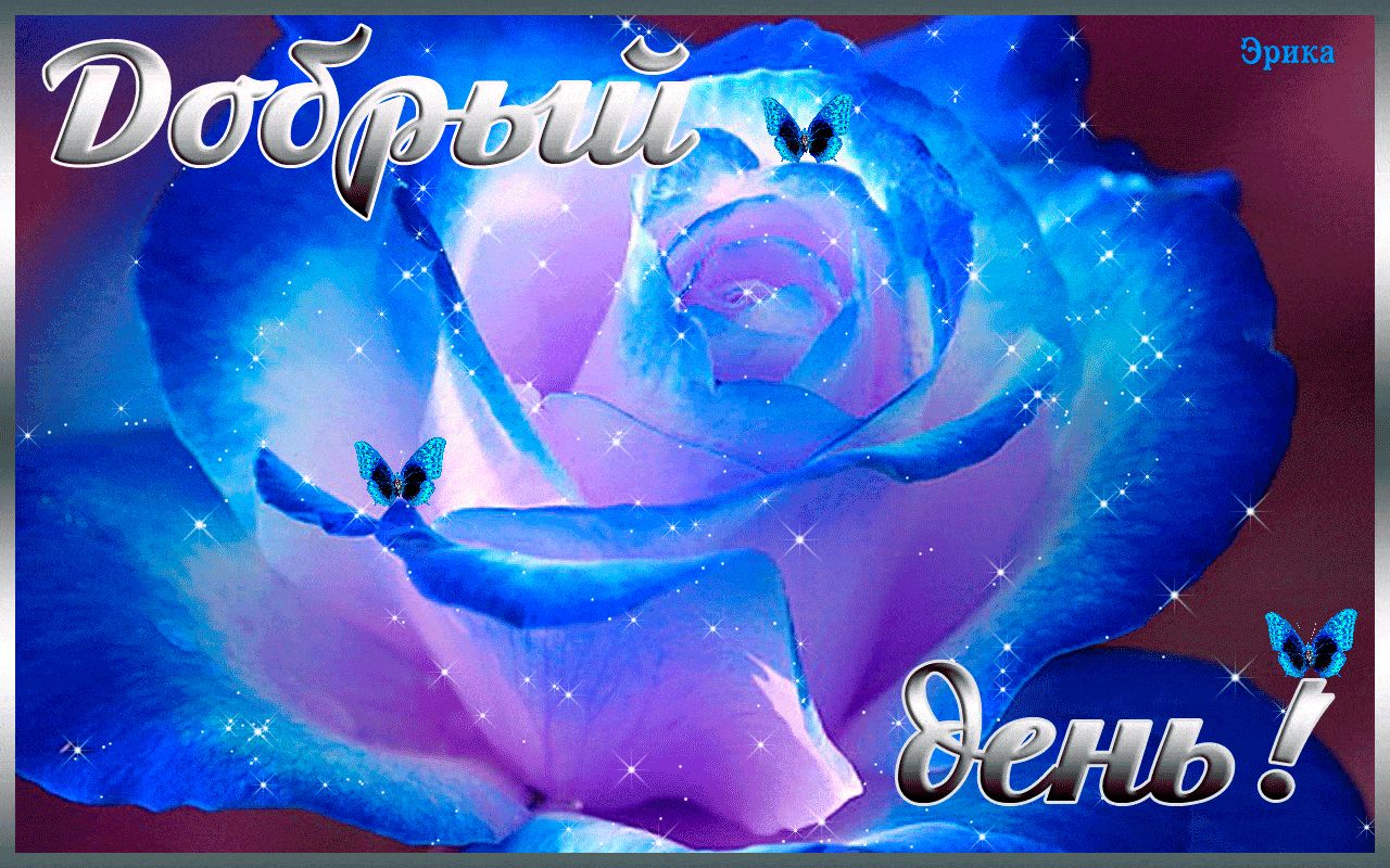 Открытка «Пожелание»: Добрый день! Нежная блестящая роза и бабочки. Тэги: улыбка, красивая, позитив, радость, добрый…