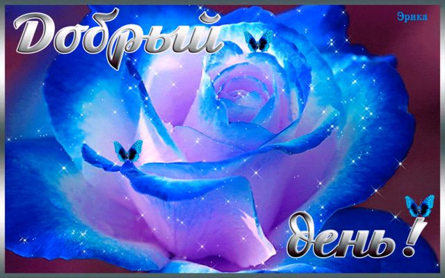 Открытка «Пожелание»: Добрый день! Нежная блестящая роза и бабочки. Тэги: улыбка, красивая, позитив, радость, добрый…