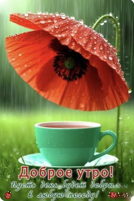 Открытка «Пожелание»: Доброе утро! Позитивное пожелание с маком и дождём. Тэги: утро, красивая, кофе, позитив, цветок…