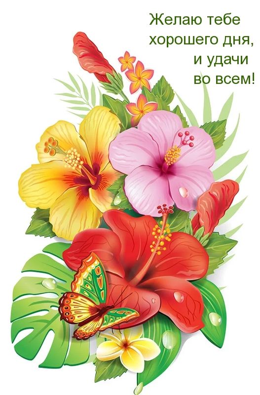 Открытка «Пожелание»: Пожелание хорошего дня и удачи с цветами. Тэги: хорошего дня, улыбка, красивая, позитив, радость…