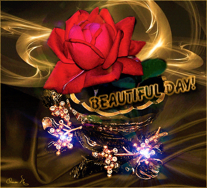 Открытка «Пожелание»: Красивый день! Пожелание с красной розой. Тэги: улыбка, друг, подруга, мужчина, женщина, красив…