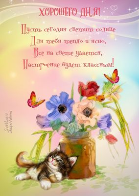 Открытка «Кот»: Позитивная открытка Хорошего дня с котиком и цветами. Тэги: животное, пожелание, улыбка, друг, подруга…