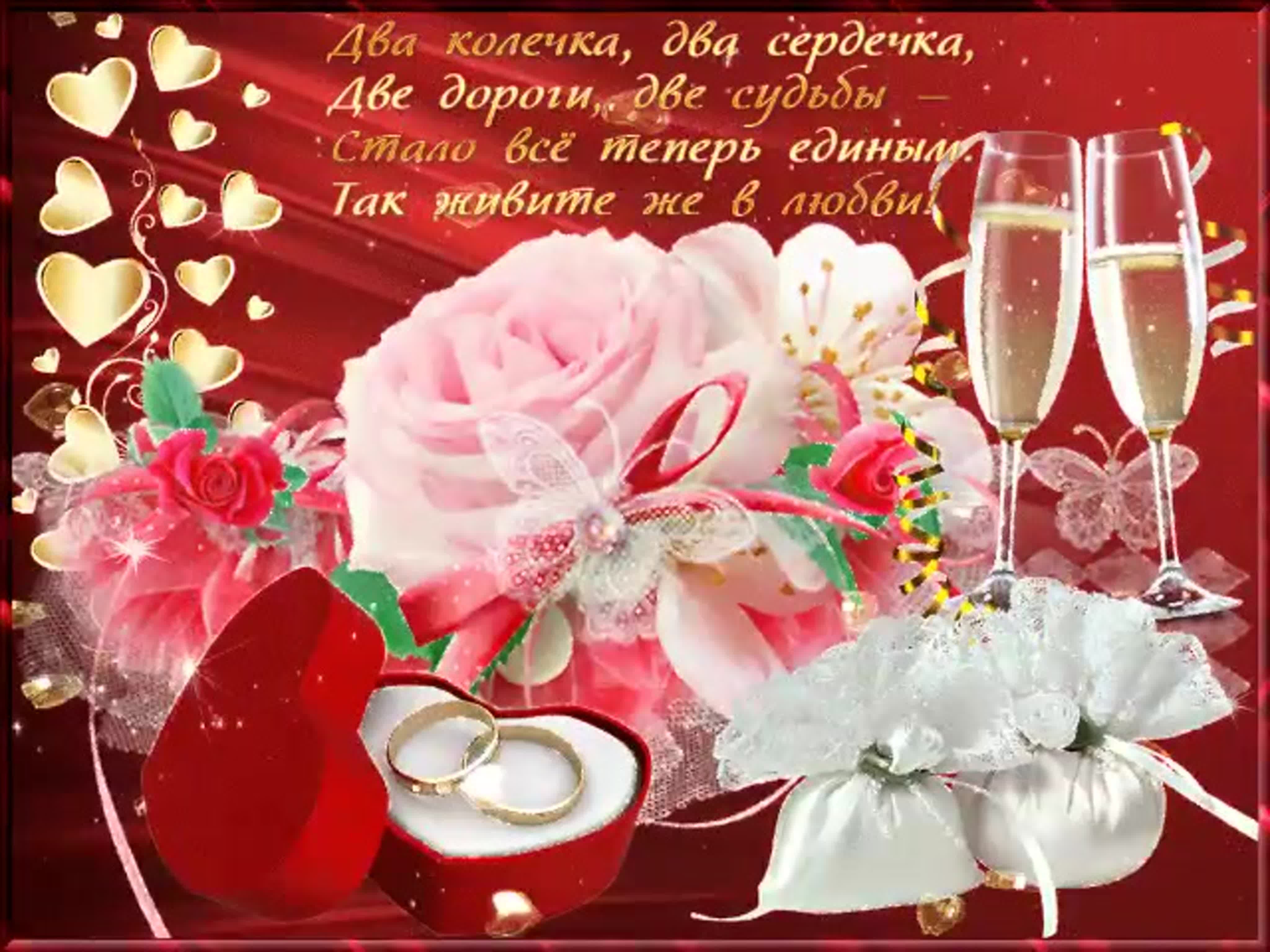 Открытка «Пожелание»: Живите в любви! Пожелание счастья и благополучия. Тэги: красивая, сердце, цветок, счастье…