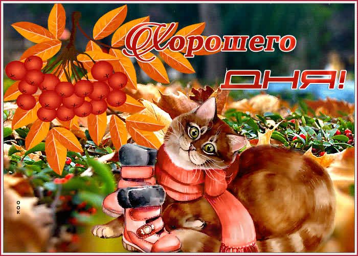 Открытка «Кот»: Открытка Хорошего дня! Осенний кот в шарфе. Тэги: животное, пожелание, улыбка, шарф, красивая, позитив…
