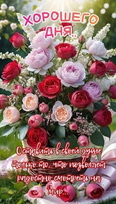 Открытка «Пожелание»: Хорошего дня! Открытка с букетом роз и пожеланием. Тэги: улыбка, друг, подруга, красивая…