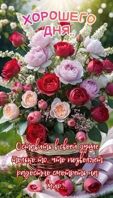 Открытка «Пожелание»: Хорошего дня! Открытка с букетом роз и пожеланием. Тэги: улыбка, друг, подруга, красивая…