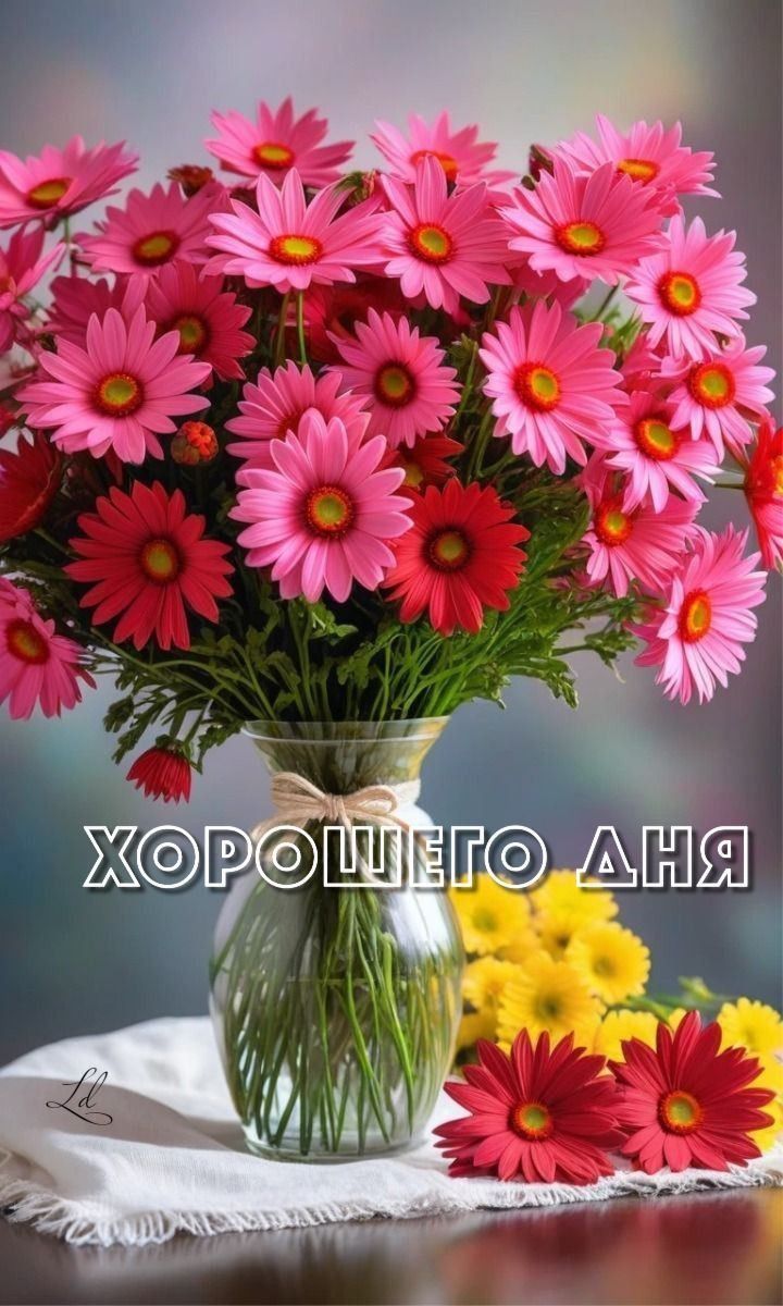 Открытка «Пожелание»: Красивые цветы: пожелание хорошего дня!. Тэги: хорошего дня, улыбка, красивая, позитив, радость…