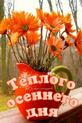 Открытка «Пожелание»: Тёплого осеннего дня! Красивое пожелание друзьям. Тэги: улыбка, друг, подруга, позитив, радость…
