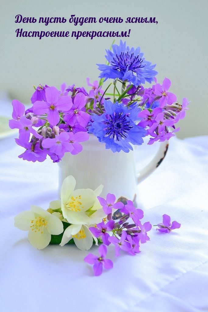 Открытка «Пожелание»: Пожелание прекрасного настроения с цветами. Тэги: улыбка, красивая, позитив, радость, цветок…